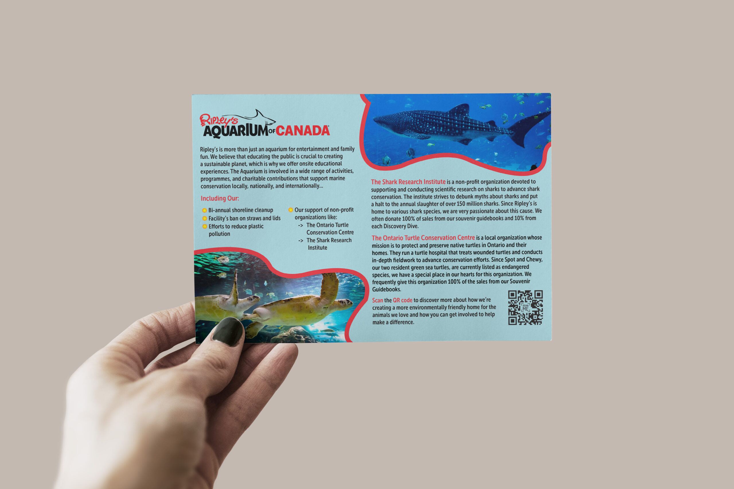 Ripley's Aquarium Canada Post Card Ad - Back