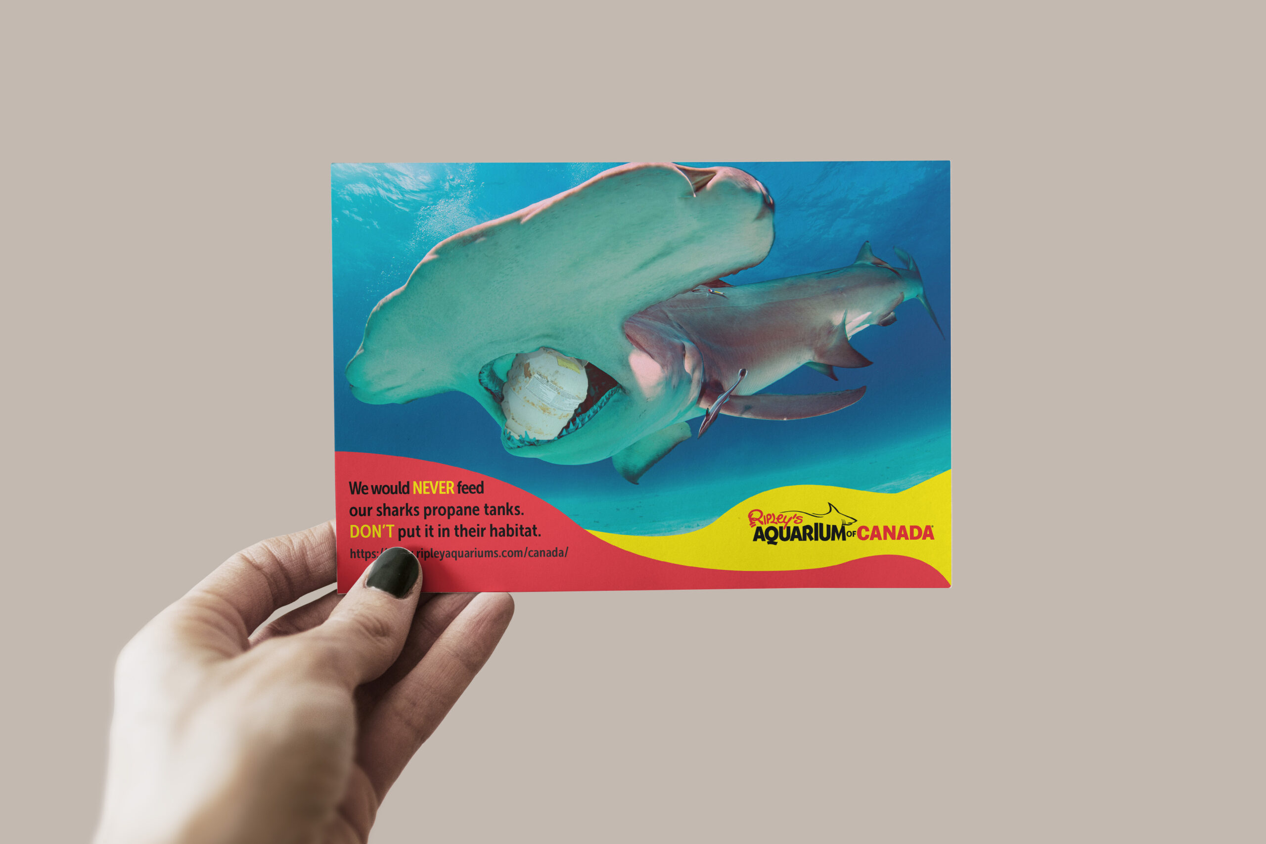 Ripley's Aquarium Canada Post Card Ad - Front